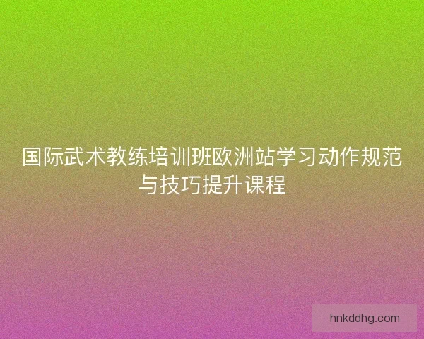 国际武术教练培训班欧洲站学习动作规范与技巧提升课程