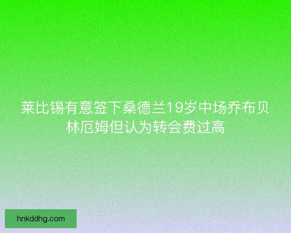 莱比锡有意签下桑德兰19岁中场乔布贝林厄姆但认为转会费过高 莱比锡有意签下桑德兰19岁中场乔布贝林厄姆但认为转会费过高